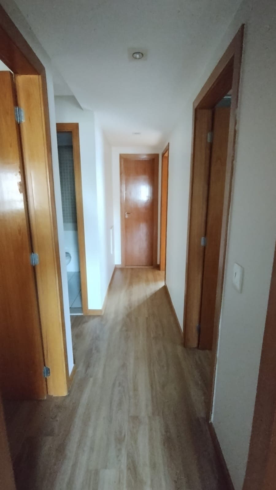 Foto 4.jpeg