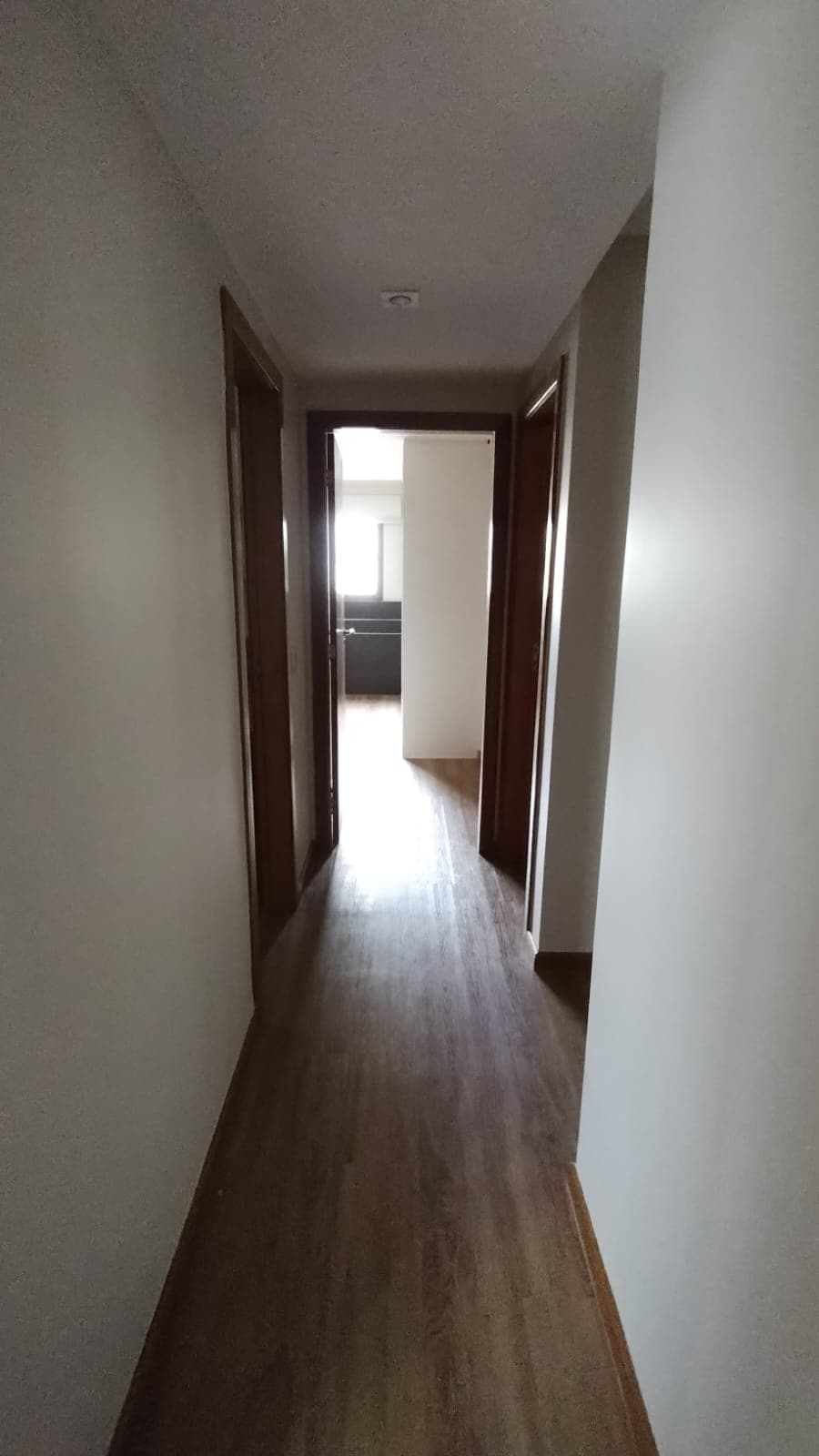 Foto 12.jpeg